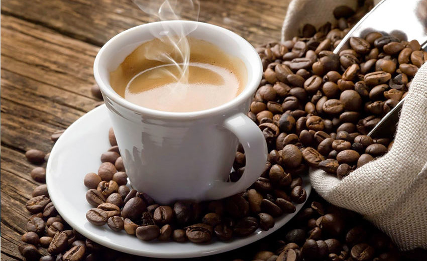 café - Quais especies de Café no Brasil ? Caf%C3%A9-queridinho-ou-vil%C3%A3o-ICM-850x520